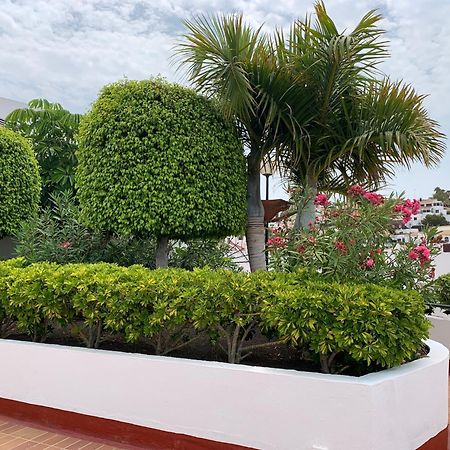 Ocean Breeze And Seaview Resort Costa Adeje  Eksteriør bilde