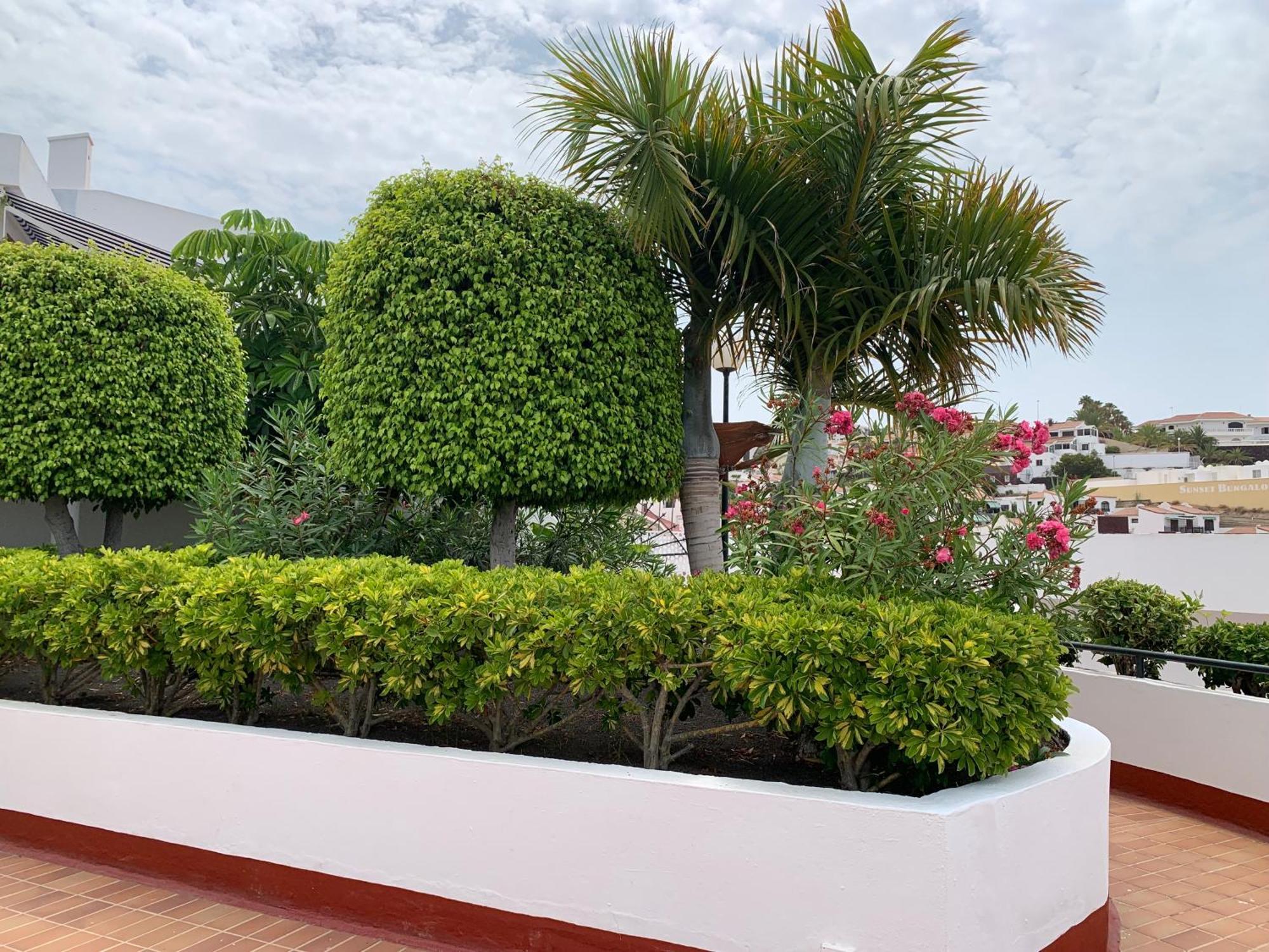 Ocean Breeze And Seaview Resort Costa Adeje  Eksteriør bilde